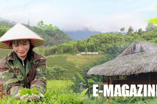 Ở nơi mây - núi giao hòa