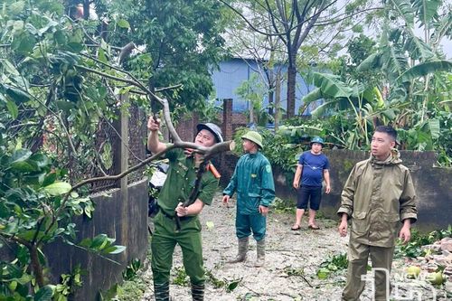 Mô hình tự quản mang bình yên cho nhân dân