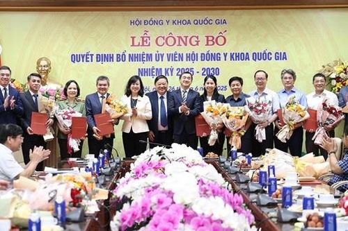 Thiếu tướng Phạm Thị Lan Anh được bổ nhiệm Ủy viên Hội đồng Y khoa Quốc gia