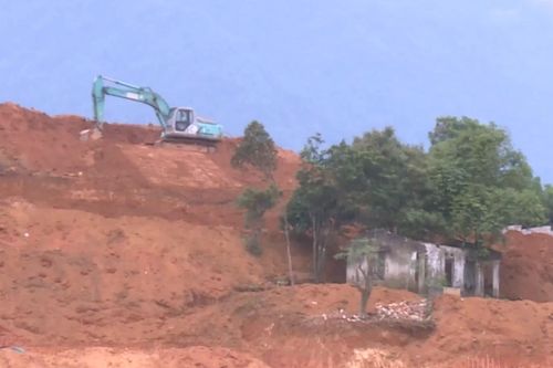 San lấp đất lâm nghiệp trái phép tại xã Yên Bài