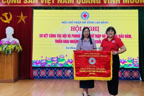 Hội Chữ thập đỏ tỉnh triển khai nhiệm vụ 6 tháng cuối năm