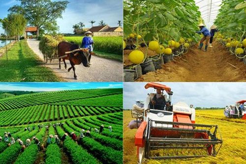 Tổng điều tra nông thôn, nông nghiệp năm 2025 trong cả nước diễn ra từ 1/7