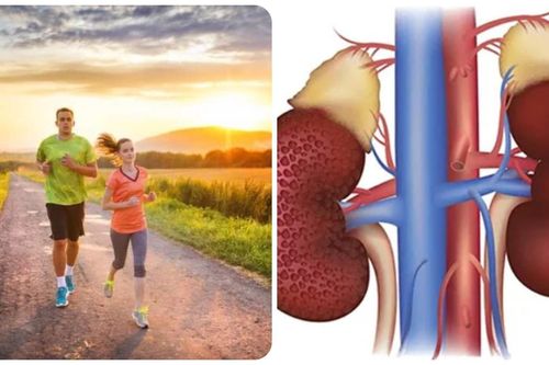 8 thói quen giúp thận khỏe mạnh