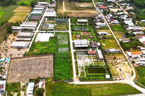 Xử lý nghiêm cán bộ để sai phạm kéo dài tại dự án sản xuất rau sạch ở Bình Định