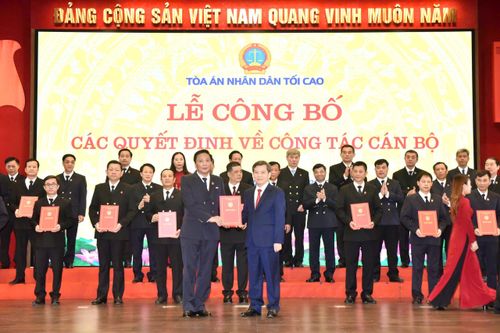 Bổ nhiệm 29 Chánh tòa, Chánh án các tỉnh thành mới