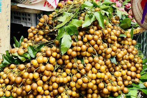 Loại quả ăn vặt dân dã vào mùa, chị em thi nhau săn đón thưởng thức