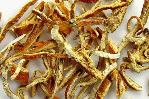 6 vị thuốc phòng và trị rối loạn tiêu hóa mùa hè