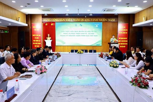 Khai thác hiệu quả quyền sở hữu trí tuệ trong kỷ nguyên vươn mình
