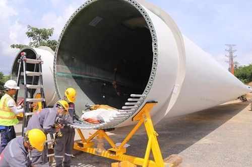 Gỡ nút thắt nhân lực – Mở đường cho ngành điện tái tạo tăng tốc