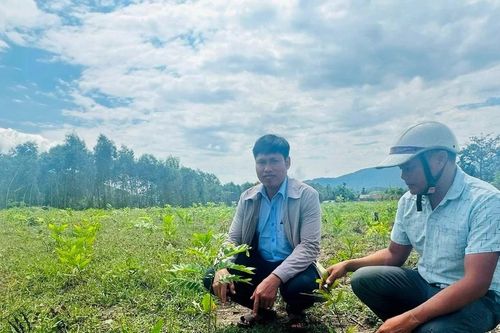 Ngăn chặn sớm những công trình 'siêu tốc'