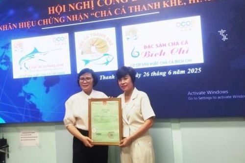 Chả cá Thanh Khê được cục sở hữu trí tuệ cấp giấy chứng nhận đăng ký nhãn hiệu
