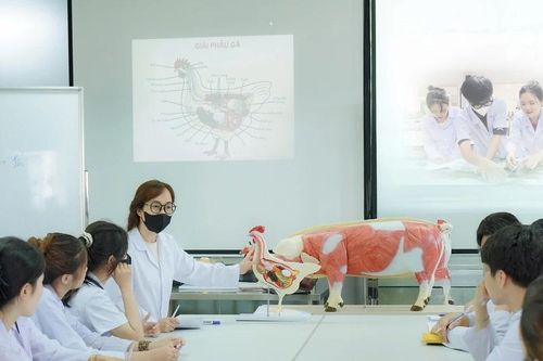 Sinh viên Trường ĐH Đông Á đón đầu xu thế kinh tế xanh và nông nghiệp bền vững