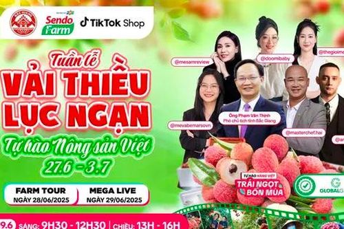 Vải thiều đã chín đỏ trên siêu thị online Sendo Farm và phiên live đặc biệt với Phó chủ tịch Bắc Giang