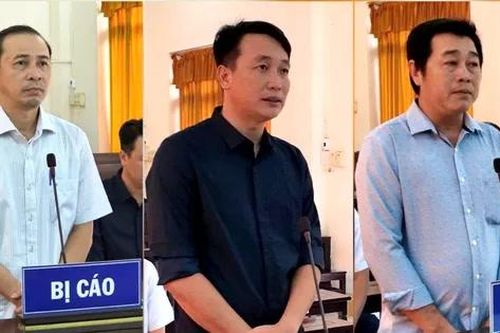Cấp đất sai quy định, 3 cán bộ Phú Quốc lĩnh án tù