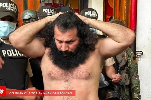 Thủ lĩnh băng đảng mafia bị truy nã quốc tế trốn trong boongke dưới nhà riêng