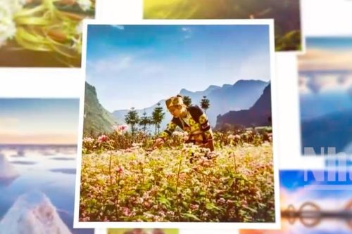 Ảnh vi phạm thuần phong mỹ tục sẽ bị loại