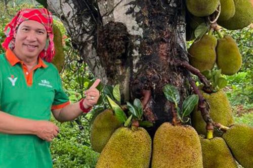 Nghệ sĩ Quang Thắng khoe 'gia tài', Việt Hương ôm hôn chồng đắm đuối