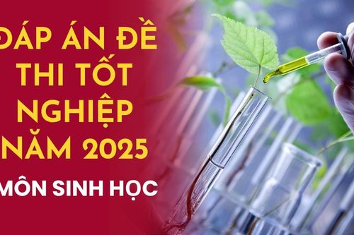 Đáp án môn Sinh học mã đề 410 thi tốt nghiệp THPT 2025