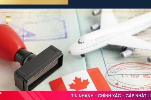 So sánh PNP và Express Entry – Đâu là con đường định cư Canada phù hợp
