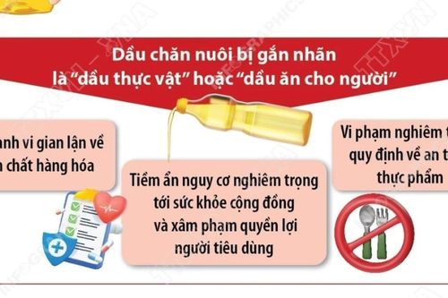 Vì sao dầu ăn chăn nuôi gây nguy hại đến sức khỏe con người?
