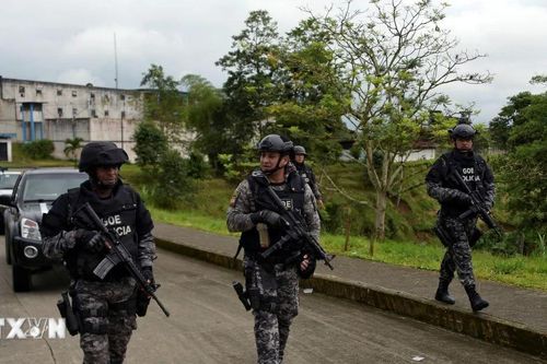 Ecuador bắt giữ thủ lĩnh cấp cao của tổ chức tội phạm khét tiếng