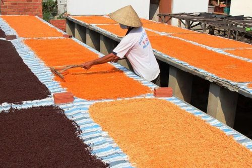 Đặc sắc nghề làm muối ớt Tây Ninh - di sản Văn hóa Phi vật thể Quốc gia
