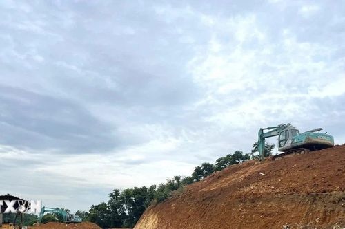 Hà Nội: Xử lý vụ 'xẻ thịt' đất đồi Ba Vì sau phản ánh của TTXVN