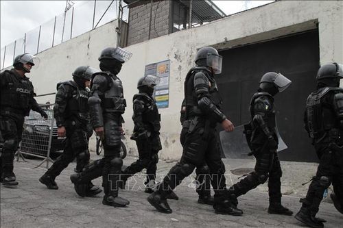 Ecuador: Bắt giữ thêm một thủ lĩnh nhóm tội phạm khét tiếng