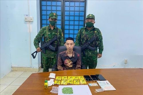 Điều tra làm rõ vụ vận chuyển trái phép ma túy qua biên giới