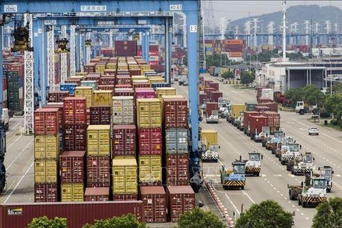 Giá cước vận tải biển Trung-Mỹ giảm hơn 50%