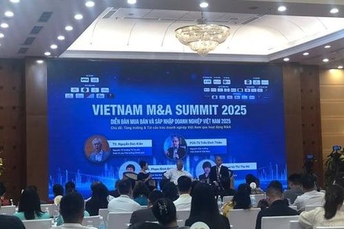 M&A: 'Cuộc chơi đỉnh cao trí tuệ' giúp doanh nghiệp Việt bứt phá