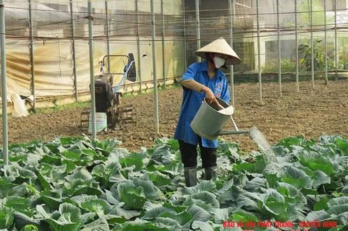 Đồng hành cùng thanh niên lập thân, lập nghiệp