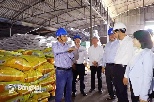 Nông nghiệp Đồng Nai trong hành trình chuyển đổi số Bài 2: Doanh nghiệp là đầu tàu cho phát triển nông nghiệp công nghệ cao