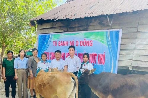Xóa nhà tạm-Kiến tạo tương lai - Kỳ cuối: Thắp sáng niềm tin, gieo mầm hy vọng