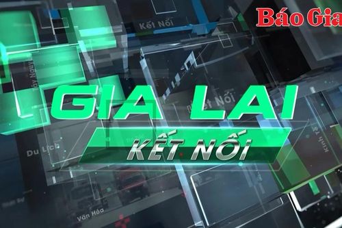 Bản tin Gia Lai kết nối ngày 27-6-2025