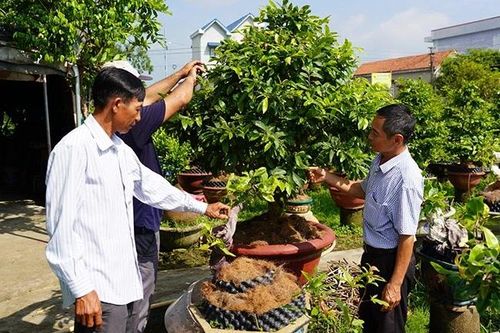 Chủ tịch Hội Nông dân nhiệt huyết , trách nhiệm