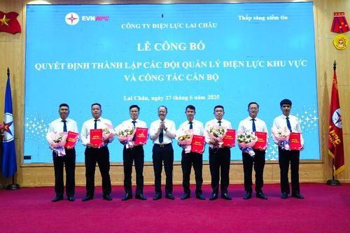 Công bố quyết định thành lập các Đội quản lý Điện lực khu vực và công tác cán bộ