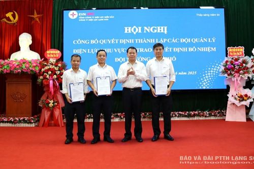 Công ty Điện lực Lạng Sơn: Thành lập các Đội Quản lý điện lực khu vực