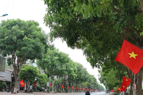 Treo cờ Đảng, cờ Tổ quốc, băng rôn khẩu hiệu nhân dịp chào mừng thành lập tỉnh Lào Cai