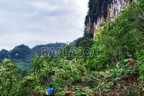 Lào Cai: Mưa lớn diện rộng, một số tuyến giao thông bị sạt lở và ngập úng