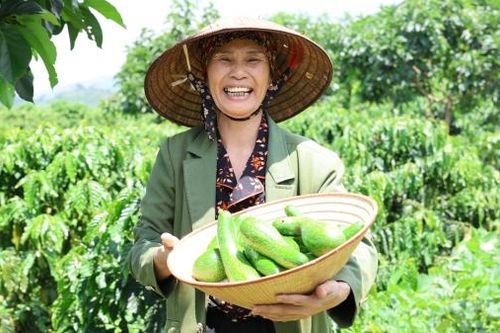 Nông dân Đạ Đờn nâng tầm nông sản
