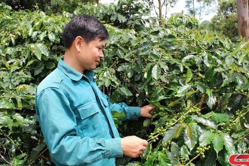 Đảng bộ huyện Thuận Châu học tập và làm theo Bác