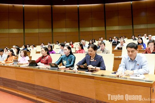 Hoàn thành sứ mệnh 'Người đại biểu Nhân dân'