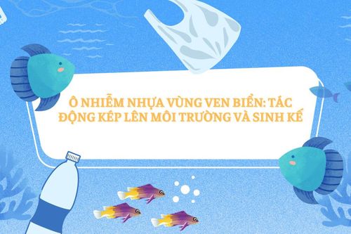 Ô nhiễm nhựa vùng ven biển: Tác động kép lên môi trường và sinh kế