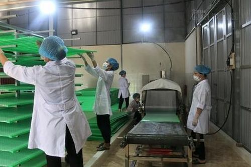 HTX phi nông nghiệp: Điểm sáng phát triển kinh tế và an sinh xã hội ở Nam Định