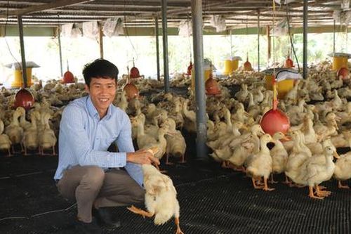 Từ xã nghèo đến điểm sáng phát kinh tế nhờ sức mạnh HTX