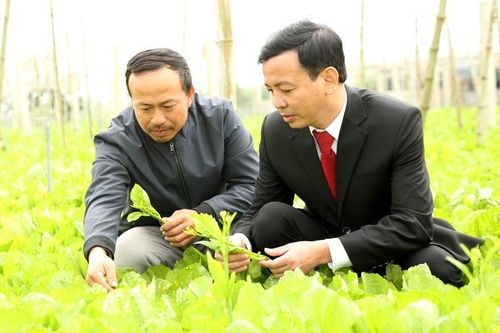 Tiếp sức nông dân vững bước dựng xây cơ nghiệp