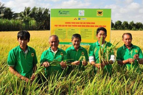 Phân bón Bình Điền tiên phong ứng dụng công nghệ sinh học theo tinh thần Nghị quyết 57