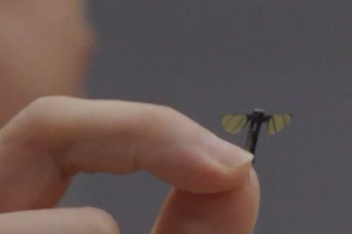 Trung Quốc tung ra Drone 'tí hon' như con muỗi, khó phát hiện bằng mắt thường khiến dân mạng rùng mình