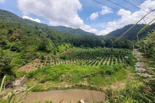 Một dự án thủy điện chậm triển khai bị xử phạt
